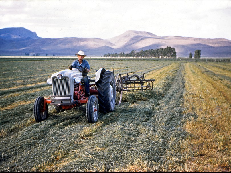 Baling Hay