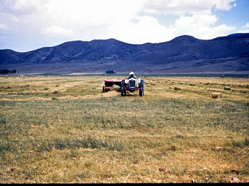 Working in the Fields